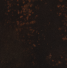#37 Model S Copper Type 9