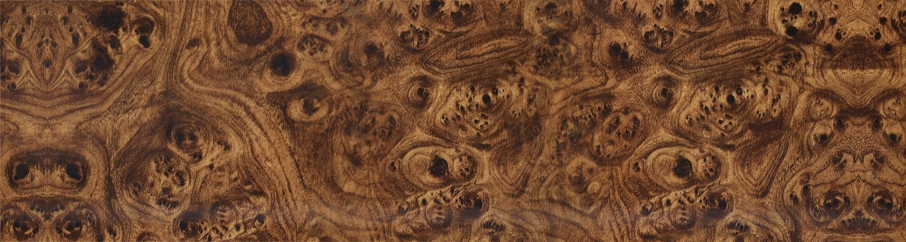 Американский орех