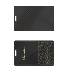 #Pattern 2 Model C