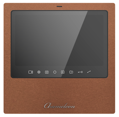 #30 Model T Copper Type 2
